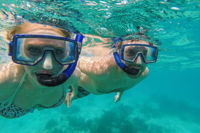 Turtle Snorkel Sail on Buck Island from Frenchman's Reef - The Sum Up