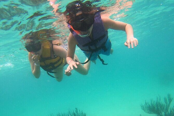 Turtle Snorkeling in Akumal - What Travelers Say