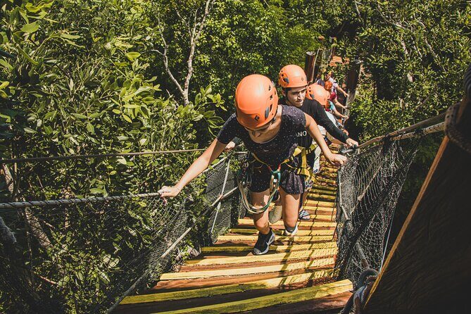 Turtle Snorkeling Jungle Adventure + Zipline and Rappel in Cenote - Who Will Love This Tour?