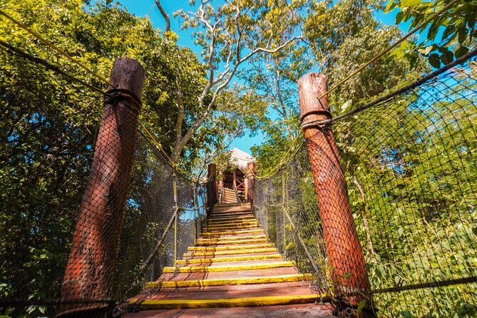Turtle Snorkeling Jungle Adventure + Zipline and Rappel in Cenote - FAQs