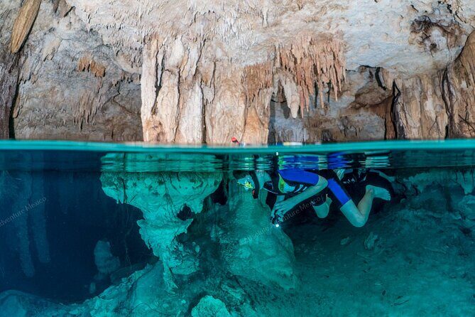 Turtle Snorkeling Private Tour Sea Turtles & Cenote in Tulum - Practical Aspects: Timing, Transportation, and Suitability