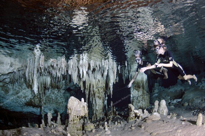 Turtle Snorkeling Private Tour Sea Turtles & Cenote in Tulum - The Sum Up: Why This Tour Stands Out