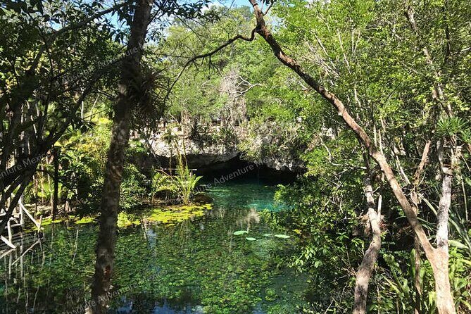 Turtle Snorkeling Private Tour Sea Turtles & Cenote in Tulum - FAQ