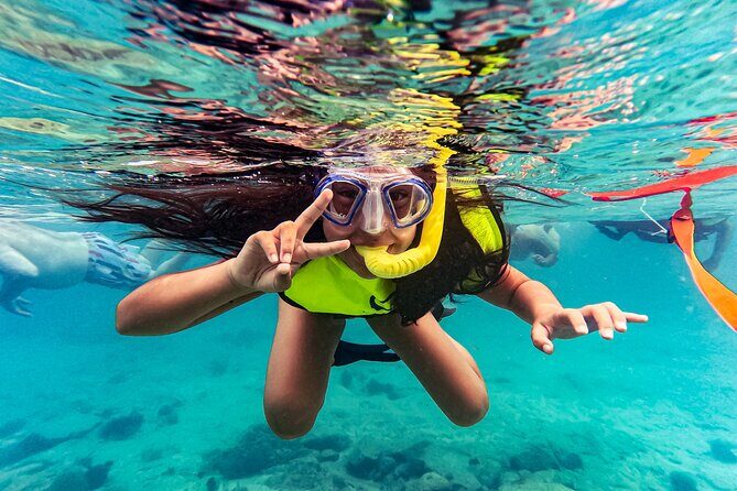 Turtle Snorkeling Tour in Tres Trapi, Aruba - A Closer Look at the Tour Experience