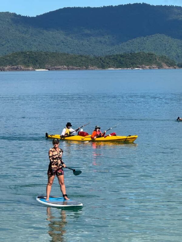 Turtle spotting-Double kayak hire Shingley beach - Key Points