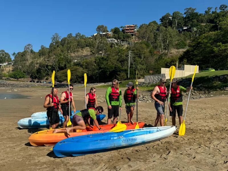 Turtle spotting-Double kayak hire Shingley beach - The Practicalities