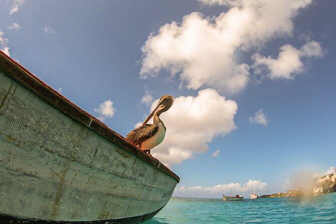 Turtle Swim at TurtleBay visit Flamingos & KnipBeach Safari Truck - Final Thoughts