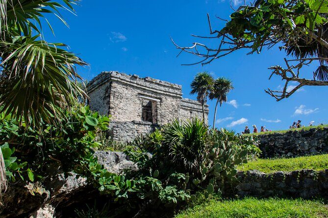 Turtle Swim & Tulum Ruins! Round Transportation from Playa del Carmen - Analyzing Value and Practical Considerations