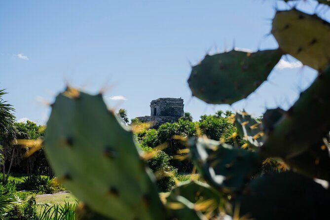Turtle Swim & Tulum Ruins! Round Transportation from Playa del Carmen - Who Should Consider This Tour?