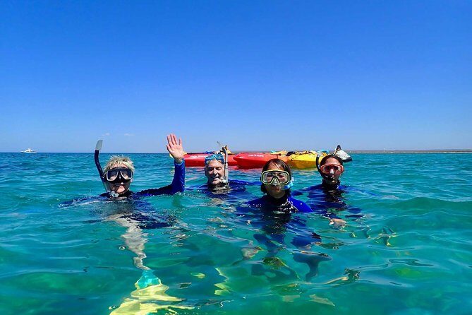 Turtle Tour - Ningaloo Reef Half Day Sea Kayak and Snorkel Tour - Kayaking in Ningaloo: A Glimpse into the Reef’s Nursery