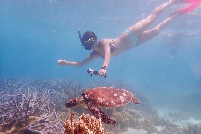 Turtle Tour - Ningaloo Reef Half Day Sea Kayak and Snorkel Tour - Rest, Snacks, and the Scenic Beach Stop