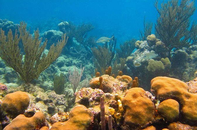 Turtles and Jungle Adventure - Final Thoughts: Who Should Consider This Tour?
