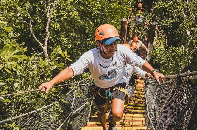 Turtles and Jungle Adventure - Frequently Asked Questions