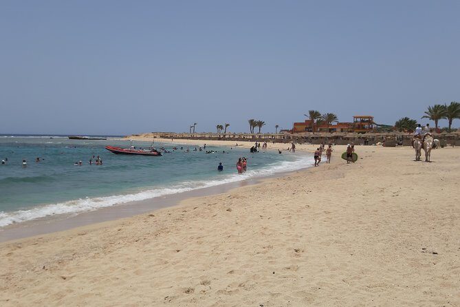 Turtles Bay, Swimming with Turtles Hurghada & Marsa ALam - Introduction