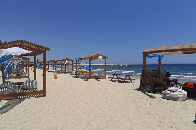 Turtles Bay, Swimming with Turtles Hurghada & Marsa ALam - What Makes This Tour Stand Out?