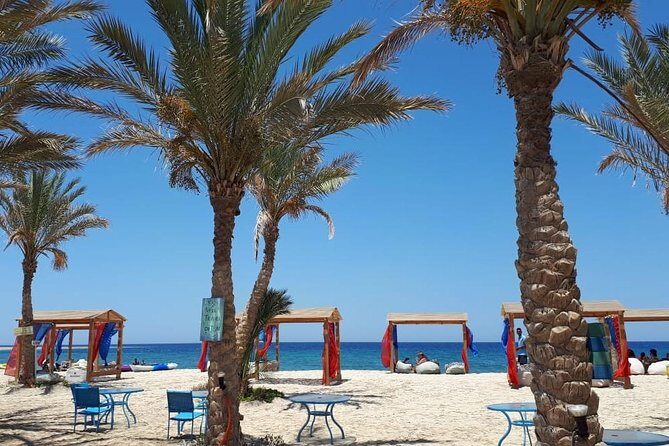 Turtles Bay, Swimming with Turtles Hurghada & Marsa ALam - What Do Travelers Say?
