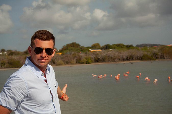 Turtles, Beach and Flamingo in Curacao Private photoshoot Tour - The Sum Up: Who Will Love This Tour?