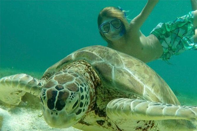 Turtles, Pizza Pi & Sunset trip - A Full Breakdown of the Turtles, Pizza Pi & Sunset Tour