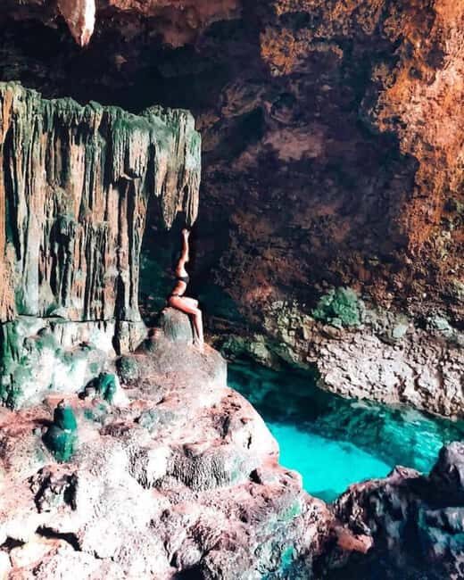 Turtles swimming, Jozani Forest, Kuza Cave & Rock Restaurant - Authentic Experiences and What Travelers Say