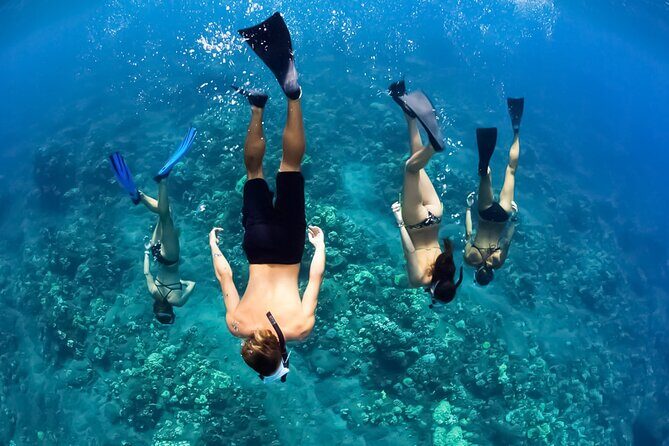 Turtles & Tacos Luxury Catamaran Snorkel - A Closer Look at the Experience
