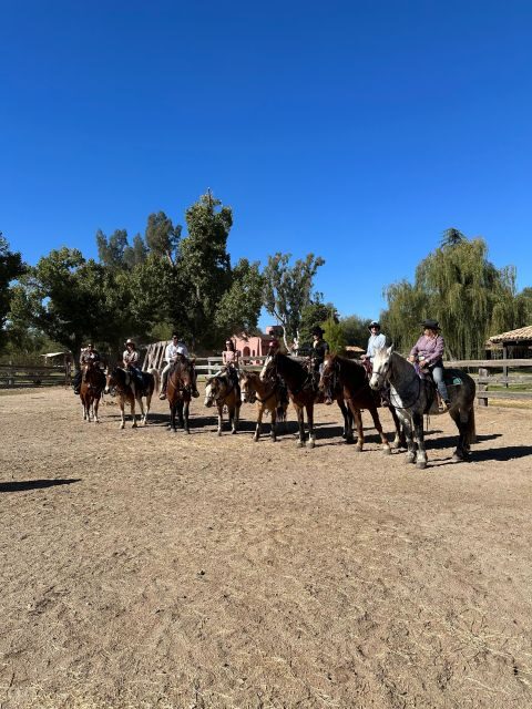 Tuscon: Rancho Cerros Horseback Riding Tout with Great Views - The Ranch Experience and Freedom to Explore
