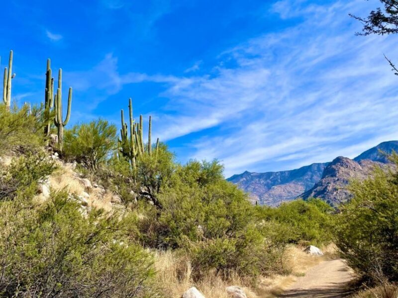 Tuscon: Rancho Cerros Horseback Riding Tout with Great Views - Who Would Enjoy This Experience