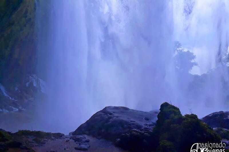 Tuxtla Gutierrez: Agua Azul, Misol Ha & Palenque Experience - Authentic Experiences and Tips