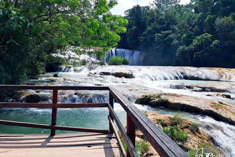Tuxtla Gutierrez: Agua Azul, Misol Ha & Palenque Experience - Who Should Take This Tour?