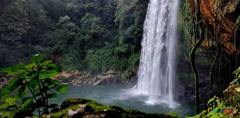 Tuxtla Gutierrez: Agua Azul, Misol Ha & Palenque Experience - FAQ
