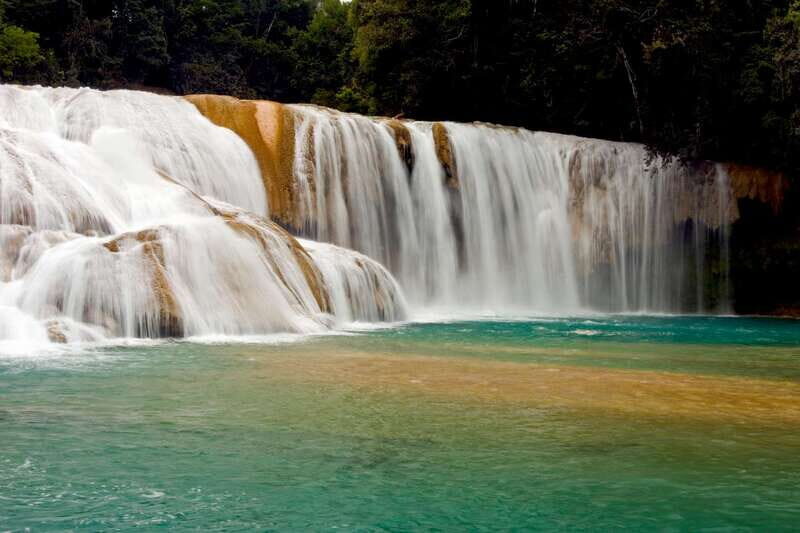 Tuxtla Gutierrez: Palenque Ruins Day Tour with Breakfast - Final Thoughts