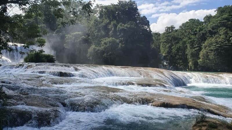 Tuxtla Gutierrez: Palenque Ruins Day Tour with Breakfast - FAQ