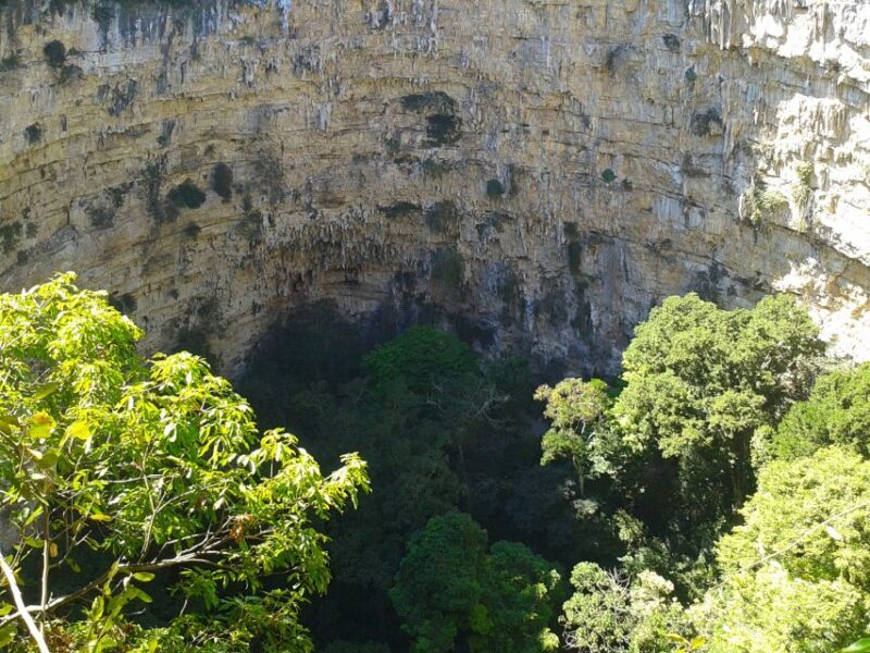 Tuxtla Gutiérrez: Sinkhole of Parrots Full-Day Rappel - Introduction