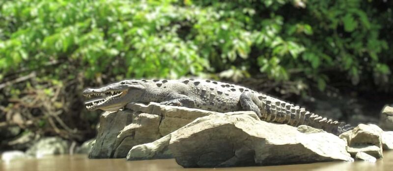 Tuxtla Gutierrez: Sumidero Canyon River and Chiapa de Corzo - Key Points
