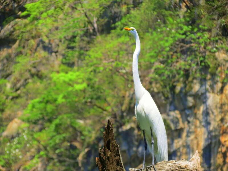 Tuxtla: Sumidero Canyon, San Juan Chamula & Zinacantán Tour - Key Points