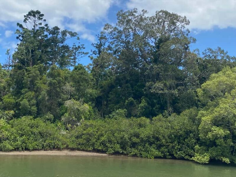 Tweed River Cruise: relax with a Morning Tea cruise - An inviting introduction to the Tweed River