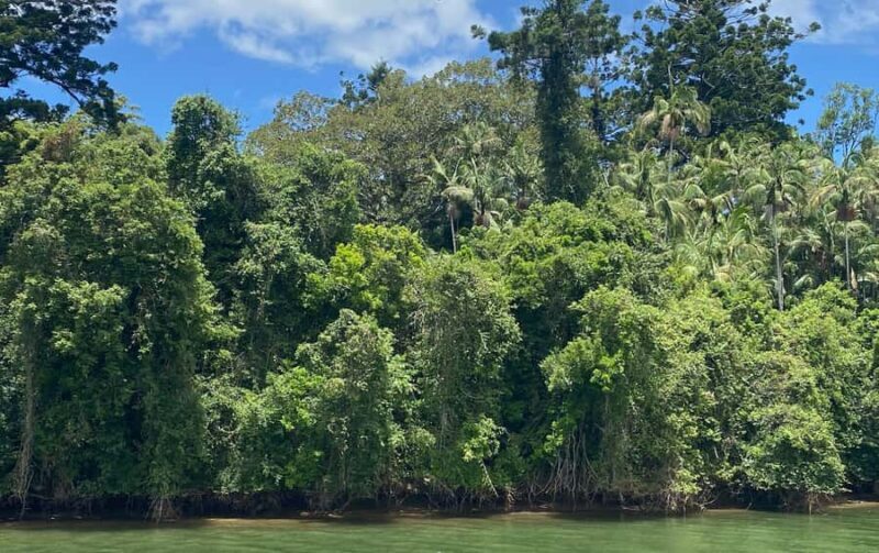 Tweed River Cruise: relax with a Morning Tea cruise - What to Expect on the Tweed River Morning Tea Cruise