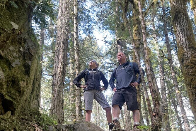 Twigs, Trails, Ales and Tall Tales - What Past Guests Say