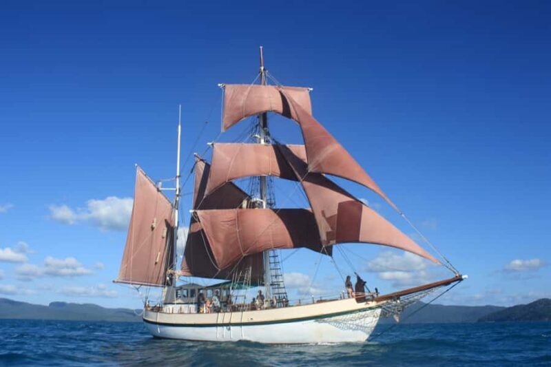 Twilight Dinner Cruise on Coral Trekker - What You Can Expect from the Experience