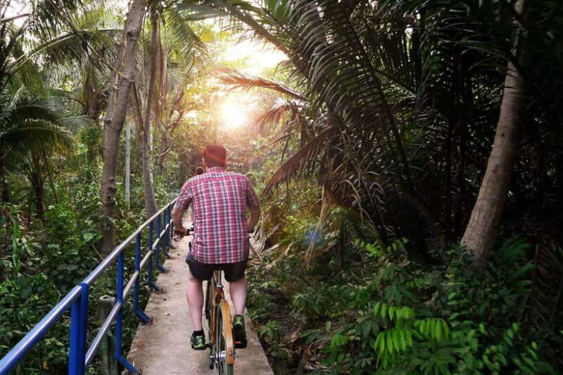 Twilight Firefly Bangkok Bicycle Tour - An In-Depth Look at the Tour