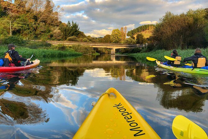 Twilight Glowworm Kayak Tour  Lake Karapiro - Who Will Love This Tour?