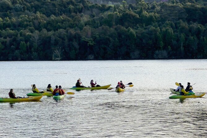 Twilight Kayak Glowworm Tour with Stargazing - Why This Tour Offers Good Value