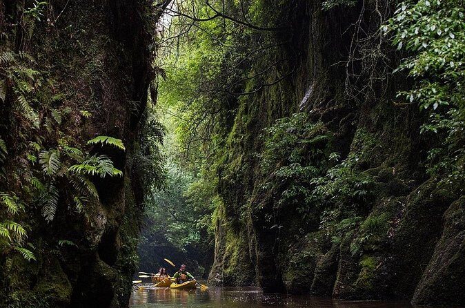 Twilight Kayak Glowworm Tour with Stargazing - FAQs