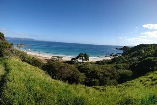 Twilight Wild Kiwi Bird Encounter Private Tour - Final Impressions: Who Will Love This Tour?