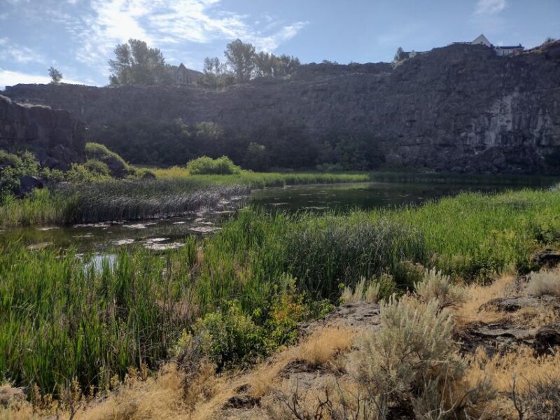 Twin Falls: Dierkes Lake Hike & Shoshone Falls Guided Tour - The Experience Provider