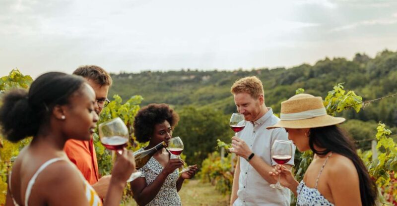 Twin Falls: Guided Half-Day Scenic Tour and Wine Tasting - A Closer Look at the Itinerary and What Makes It Special