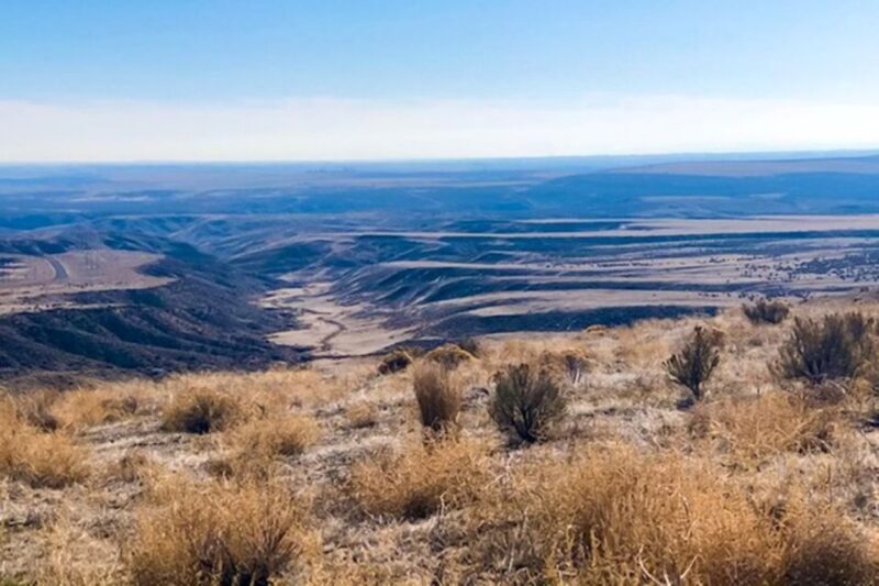 Twin Falls: Off the Beaten Path Guided Half-Day Tour - Analyzing the Experience: What to Expect and What Not