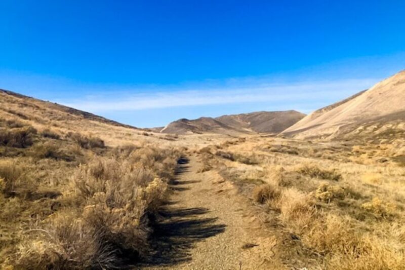 Twin Falls: Off the Beaten Path Guided Half-Day Tour - Authentic Feedback from Past Travelers