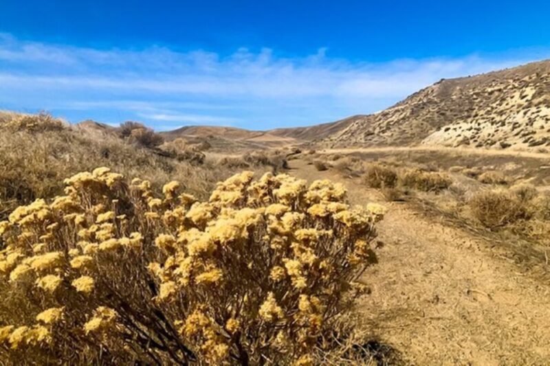 Twin Falls: Off the Beaten Path Guided Half-Day Tour - Final Word