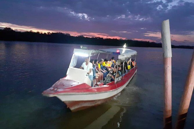 Twinkling Kuala Selangor Firefly Boat Tour from Kuala Lumpur - An In-Depth Look at the Firefly Tour: What to Expect