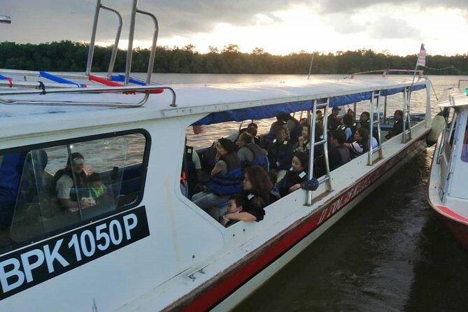 Twinkling Kuala Selangor Firefly Boat Tour from Kuala Lumpur - Who Would Love This Tour?